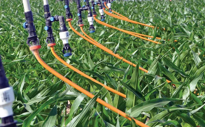 advantages illustration